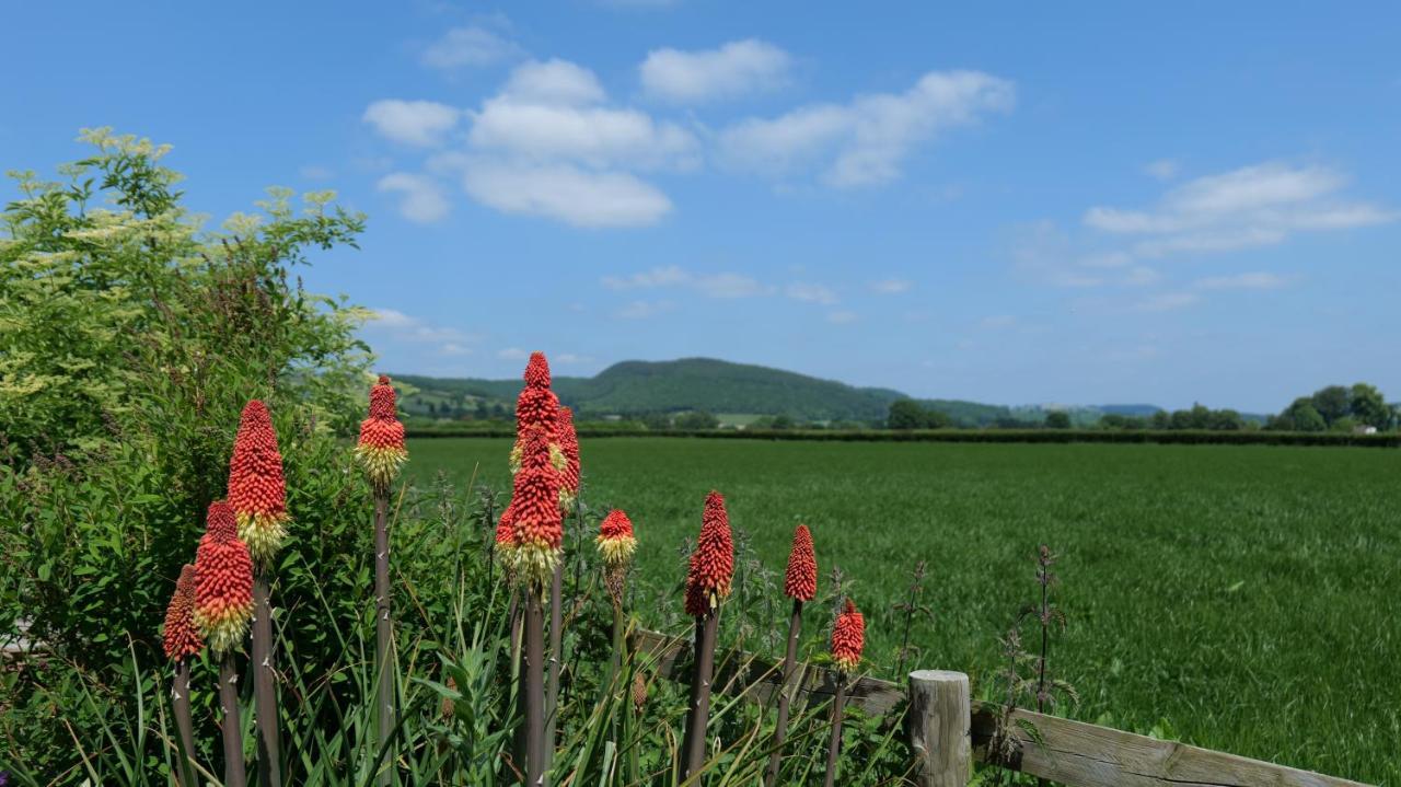 Country Cottage With Far Reaching Views Presteigne Exterior foto