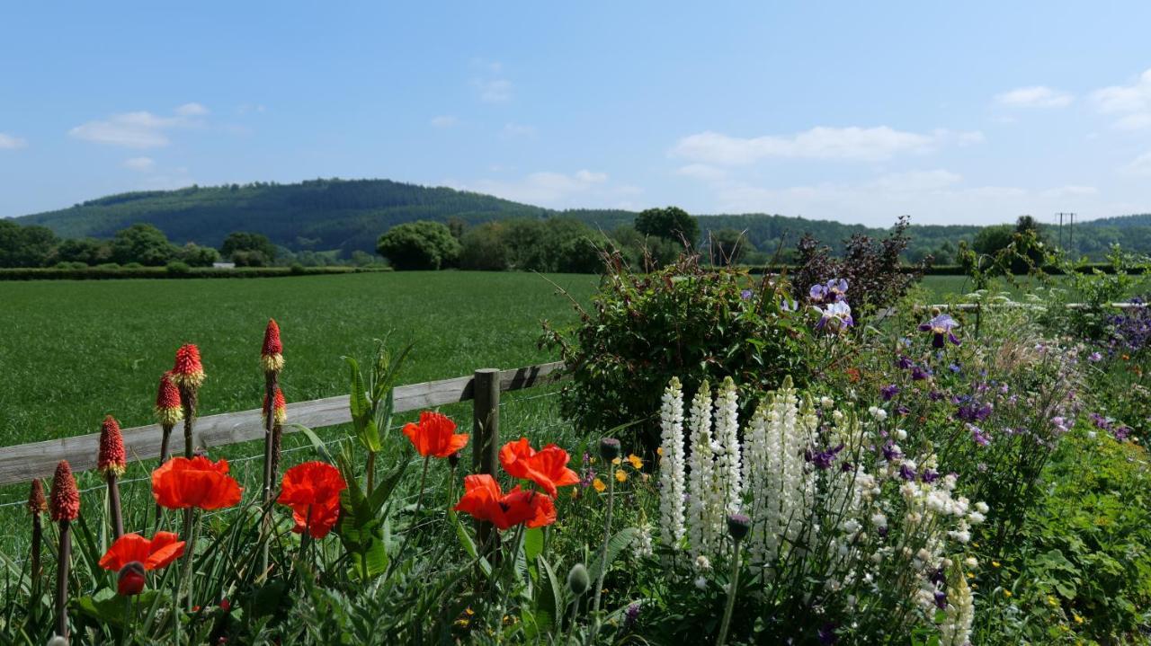 Country Cottage With Far Reaching Views Presteigne Exterior foto
